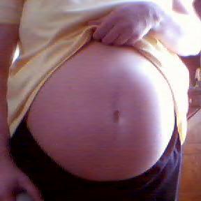 img00006.jpg